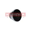 KAMOKA RC153 - Poulie roue libre, alternateur