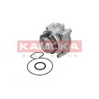 KAMOKA T0007 - Pompe à eau