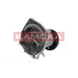 KAMOKA T0011 - Pompe à eau