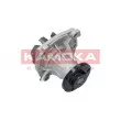 KAMOKA T0011 - Pompe à eau
