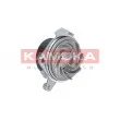 KAMOKA T0012 - Pompe à eau