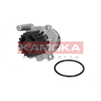 Pompe à eau KAMOKA T0023