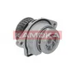 KAMOKA T0024 - Pompe à eau