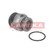 KAMOKA T0026 - Pompe à eau