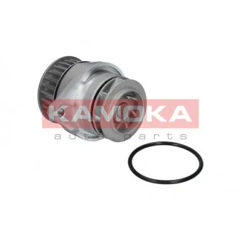 Pompe à eau KAMOKA T0026