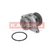 KAMOKA T0026 - Pompe à eau