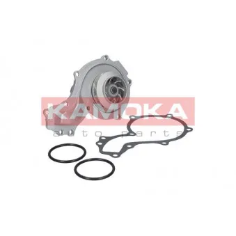 Pompe à eau KAMOKA T0037