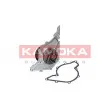 KAMOKA T0039 - Pompe à eau