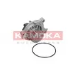 KAMOKA T0042 - Pompe à eau