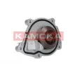 KAMOKA T0050 - Pompe à eau