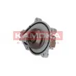 KAMOKA T0050 - Pompe à eau