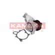 KAMOKA T0063 - Pompe à eau