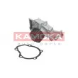 KAMOKA T0065 - Pompe à eau