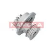KAMOKA T0070 - Pompe à eau