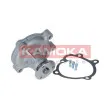 KAMOKA T0072 - Pompe à eau