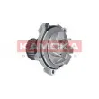 KAMOKA T0077 - Pompe à eau