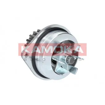 Pompe à eau KAMOKA OEM 210106F900