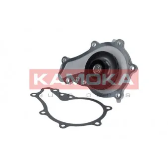 Pompe à eau KAMOKA T0087