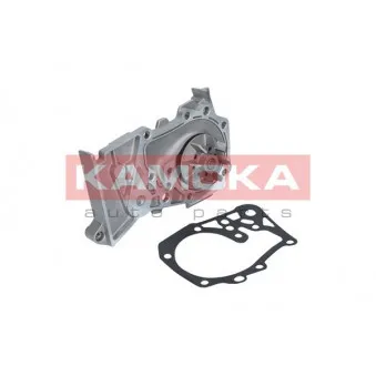 Pompe à eau KAMOKA T0102