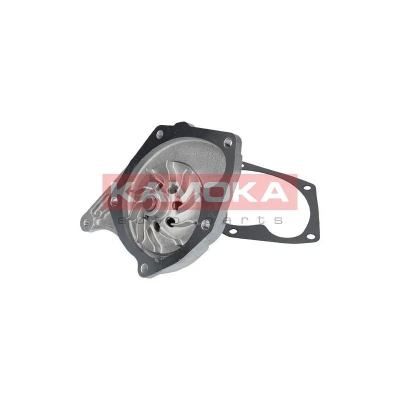 Pompe à eau KAMOKA T0103 - Visuel 1