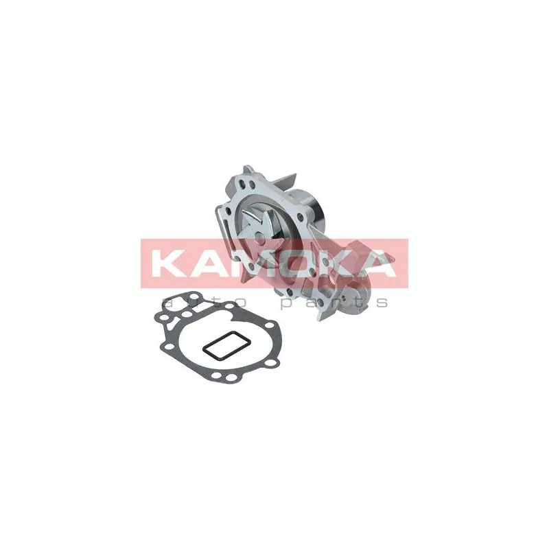 Pompe à eau KAMOKA T0105 - Visuel 1