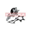 KAMOKA T0109 - Pompe à eau