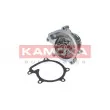 Pompe à eau KAMOKA [T0110]