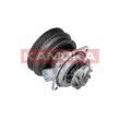 KAMOKA T0112 - Pompe à eau