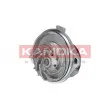 KAMOKA T0113 - Pompe à eau