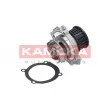KAMOKA T0114 - Pompe à eau