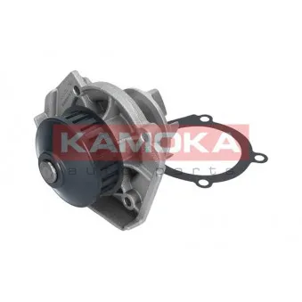 Pompe à eau KAMOKA T0117
