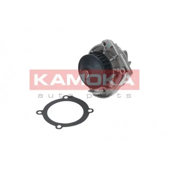 Pompe à eau KAMOKA T0118