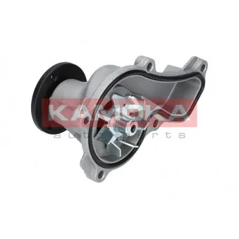 Pompe à eau KAMOKA OEM 06192R1A305
