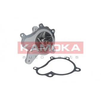 Pompe à eau KAMOKA OEM 2510025100