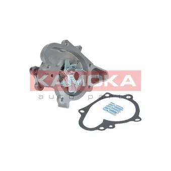 Pompe à eau KAMOKA OEM 2510002502
