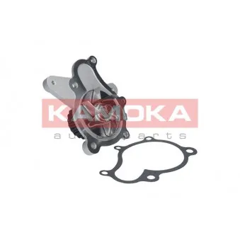Pompe à eau KAMOKA OEM 2510027400