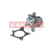 KAMOKA T0163 - Pompe à eau