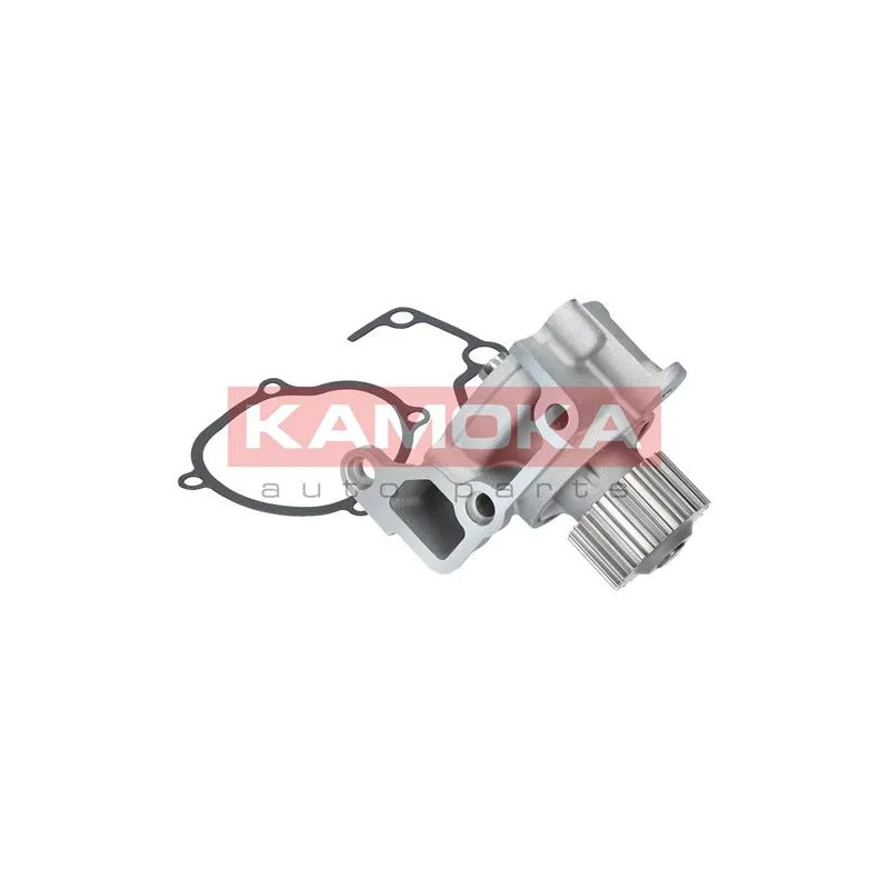 Pompe à eau KAMOKA T0170 - Visuel 1