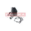 KAMOKA T0175 - Pompe à eau