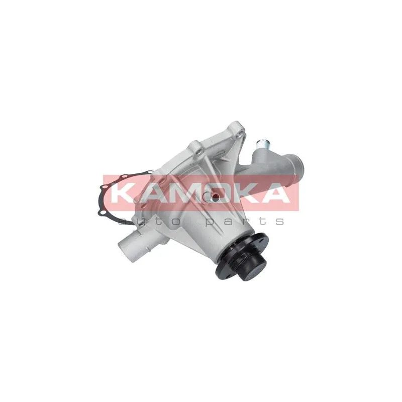 Pompe à eau KAMOKA T0186 - Visuel 1