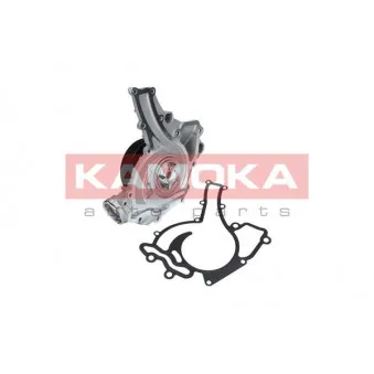 Pompe à eau KAMOKA T0195