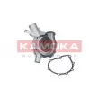 KAMOKA T0197 - Pompe à eau