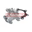 KAMOKA T0204 - Pompe à eau