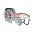 KAMOKA T0207 - Pompe à eau