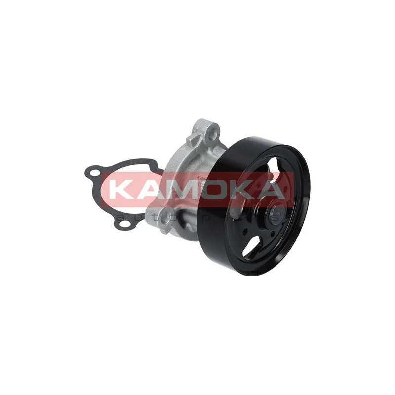 Pompe à eau KAMOKA T0221 - Visuel 2