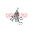 KAMOKA T0224 - Pompe à eau