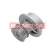 KAMOKA T0232 - Pompe à eau