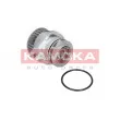 KAMOKA T0249 - Pompe à eau