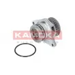 KAMOKA T0249 - Pompe à eau