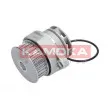 KAMOKA T0249 - Pompe à eau